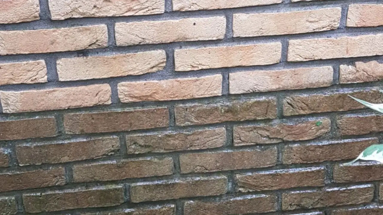 Achtergrond CTA