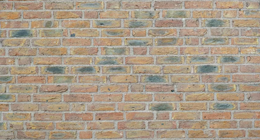 Groene aanslag muur verwijderen door professionele gevelreiniging